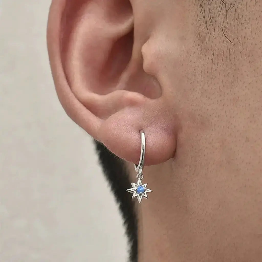 Fashionable earrings for men and women, silver 925 sample, light luxury style